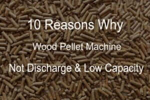 10 Main Reasons Why Your Pellet Machine does not Discharge and Low Capacity
