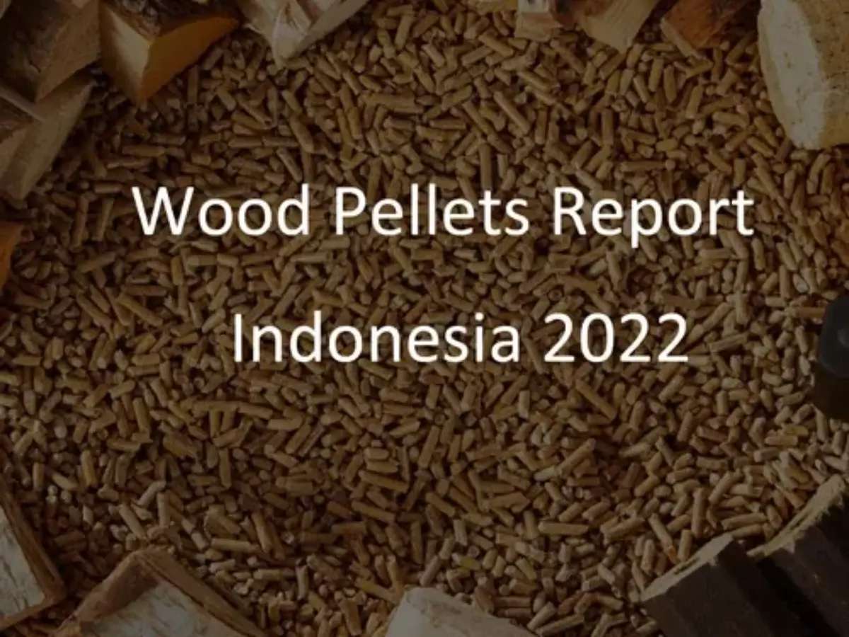 2021 Version Wood Pellet Indonesia report