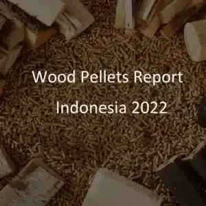 pellets-de-bois-indonesie-2022 (1)