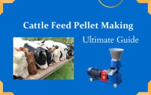 cattle feed pellet making guide