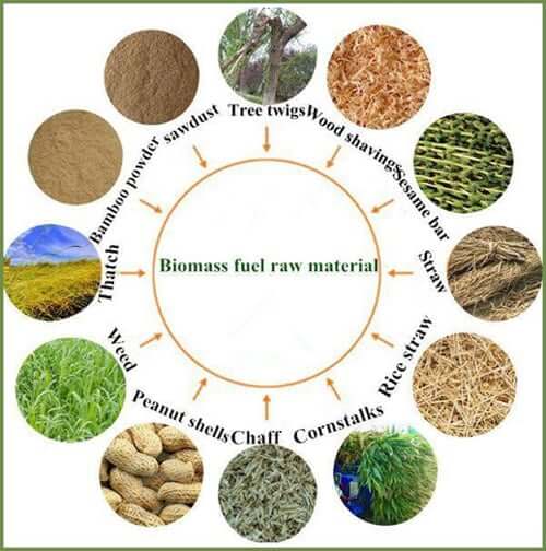 Raw-Material-of-Biomass-Pellets