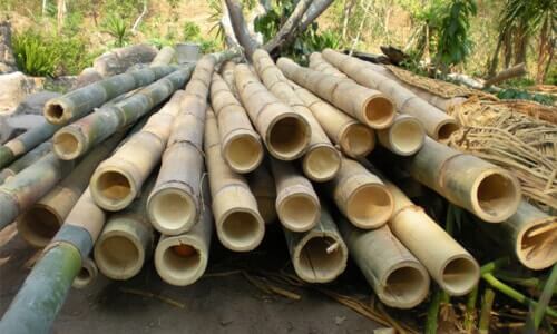 ペレット作り用の竹