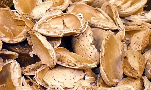 shells for pellet making