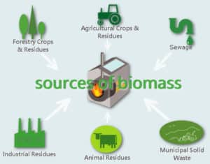 source of biomass
