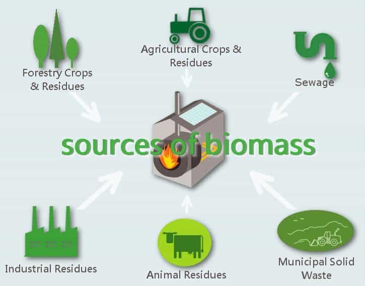 источник биомассы