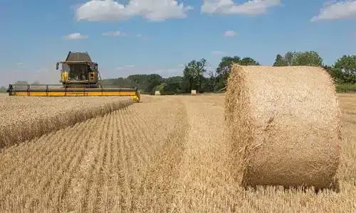 straw for pellet making