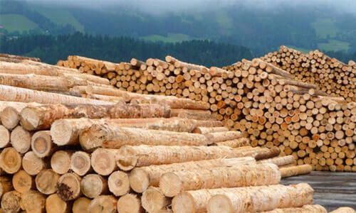 lemn pentru fabricarea peleților