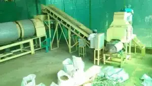 Fàbrica de pellets de fusta, Kombangan