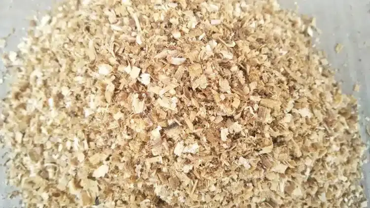 sawdust-pre-treat
