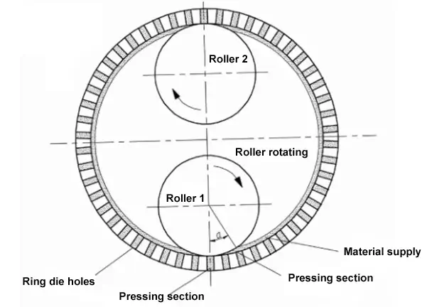 granulu mašīnas dizains-rullīšu struktūra