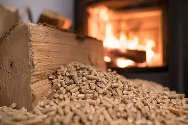 home-heating-pellet-stove
