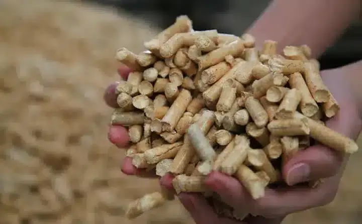 wood pellets in hand