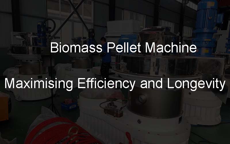 machine à granulés de biomasse