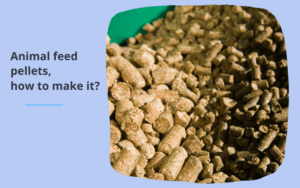Animal feed pellets, how to make it?