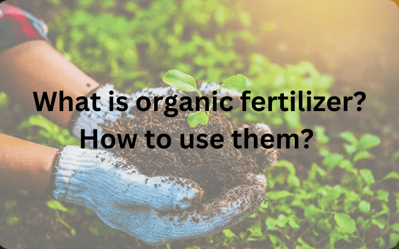 what is organic fertilizer