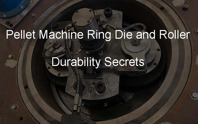 pellet machine ring die and roller Durability secrets