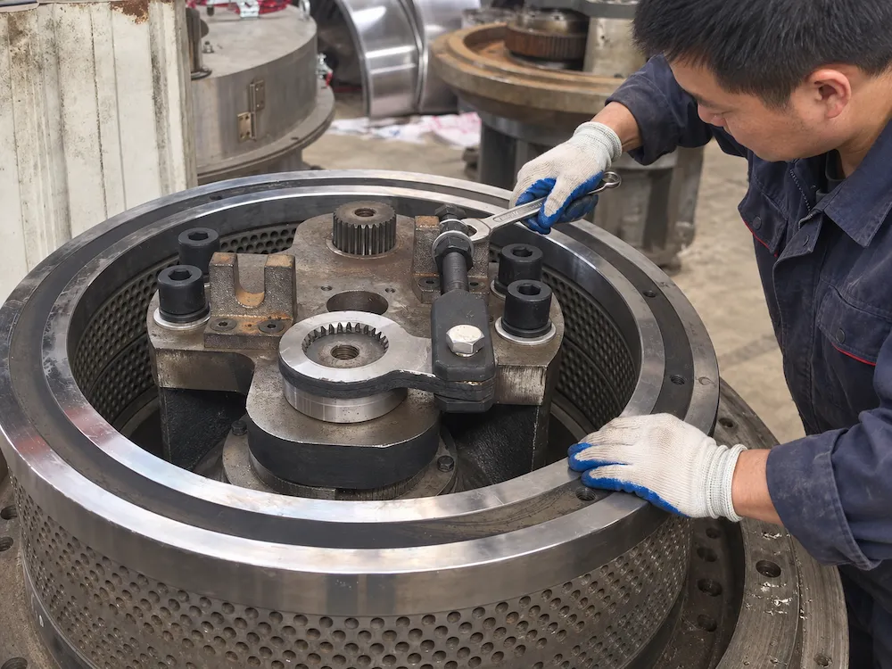 Die and roller assembly in a vertical ring die pellet mill